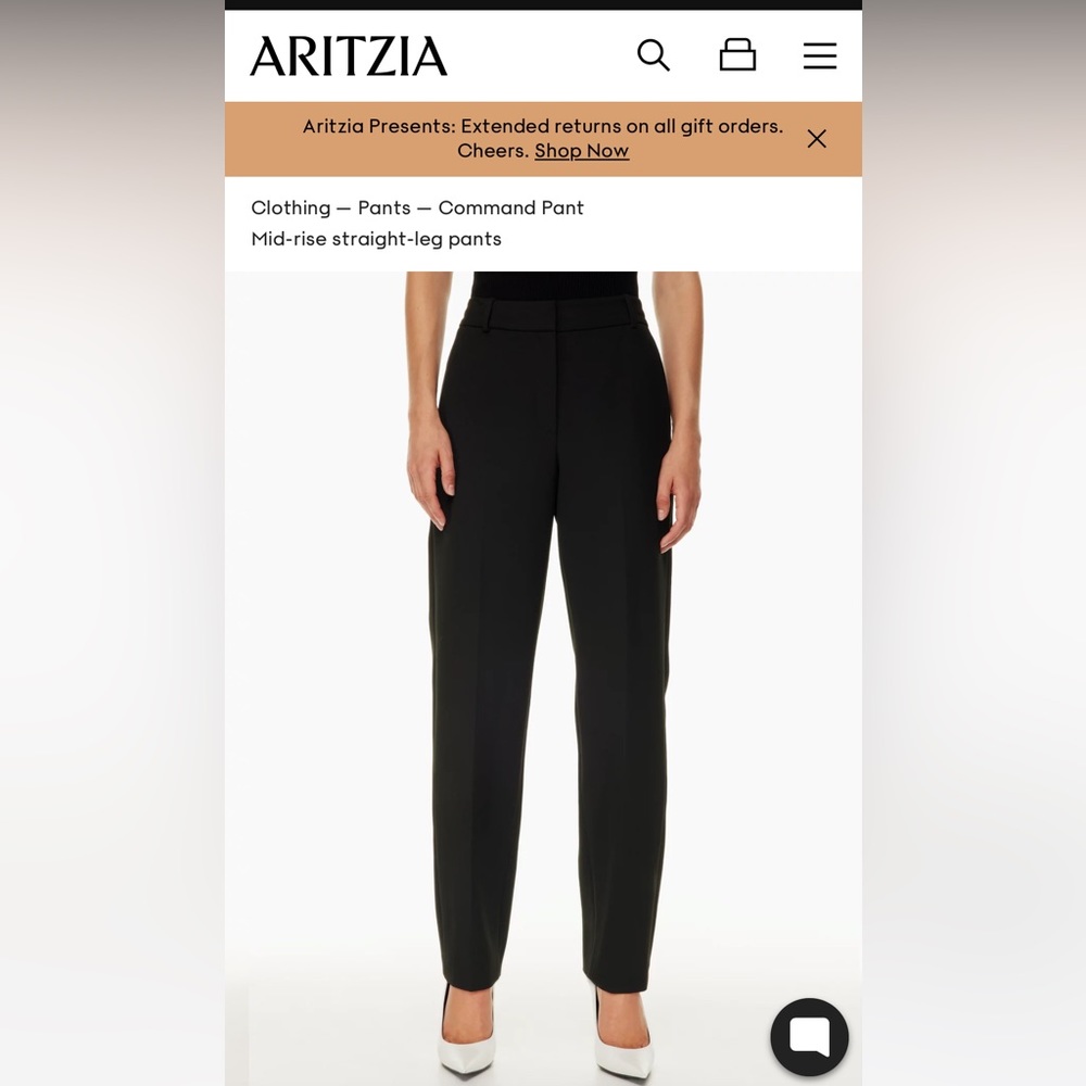 Aritzia Babaton Command Pants